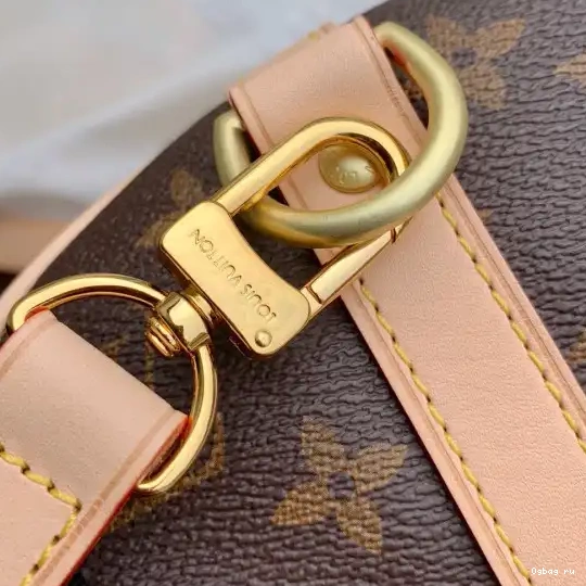 Vuitton SPEEDY BANDOULIERE 25 Louis 0509